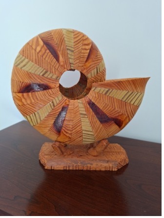 Steve Hegyesi Nautilus Shell